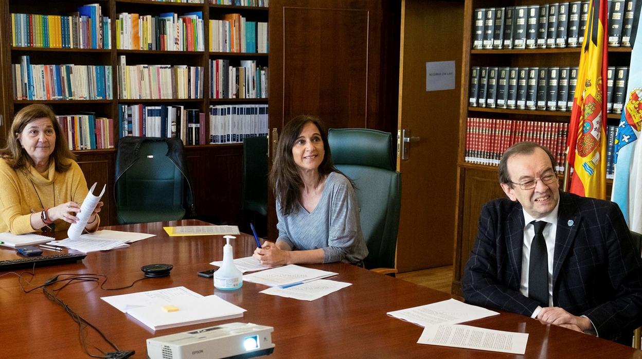 Carmen Pomar en la reunión por videoconferencia del grupo de preparación del programa de transformación a la docencia