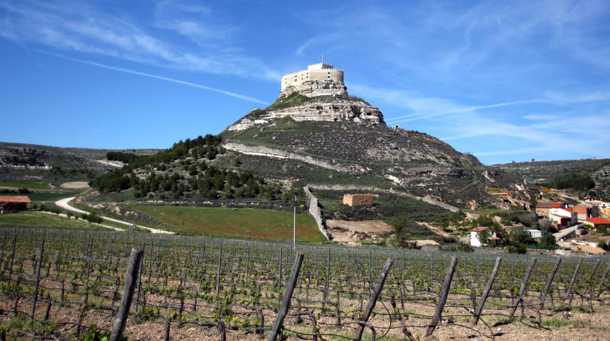 Viñedos a los pies del castillo de Curiel (Valladolid)