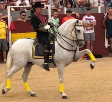 Hípica El Prado: «La temporada de verano se ha ido al traste»