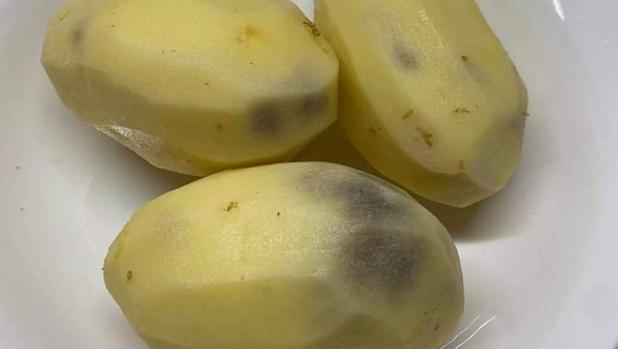 Patatas de Egipto y cebollas de Marruecos mientras los agricultores españoles las arrancan en el estado de alarma