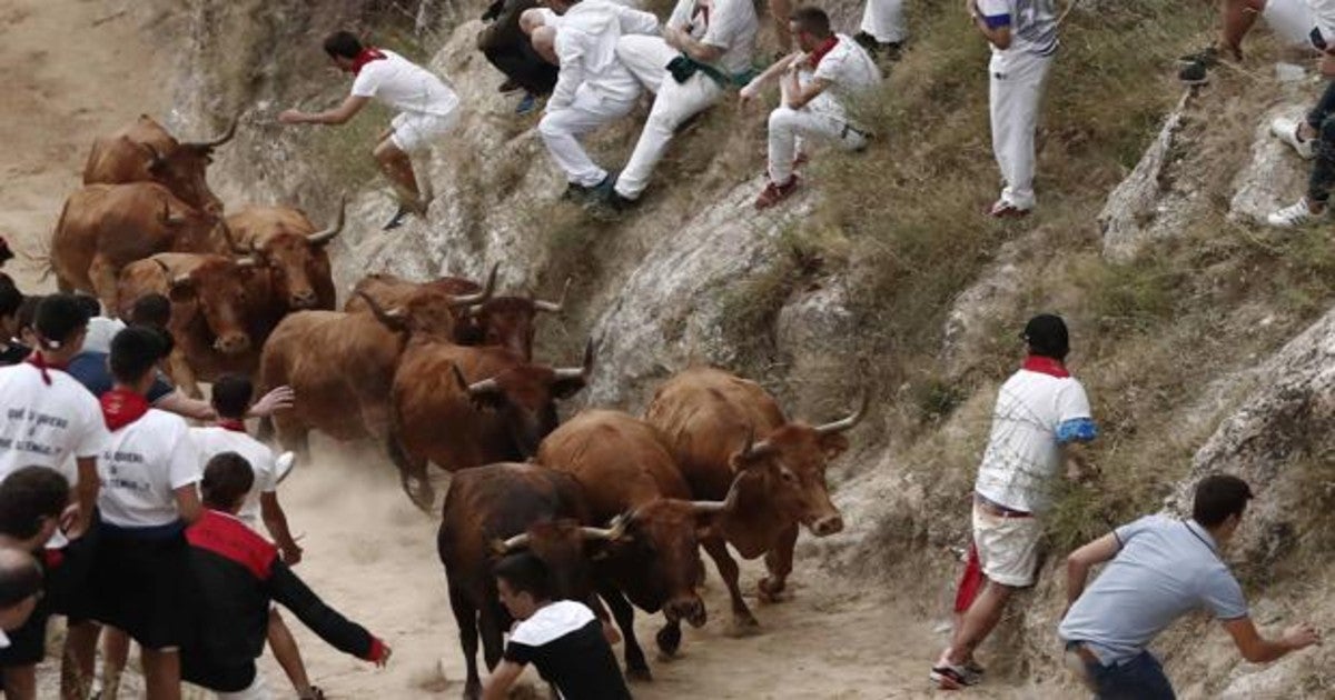 Una imagen de las fiestas de Falces con el encierro de vaquillas.