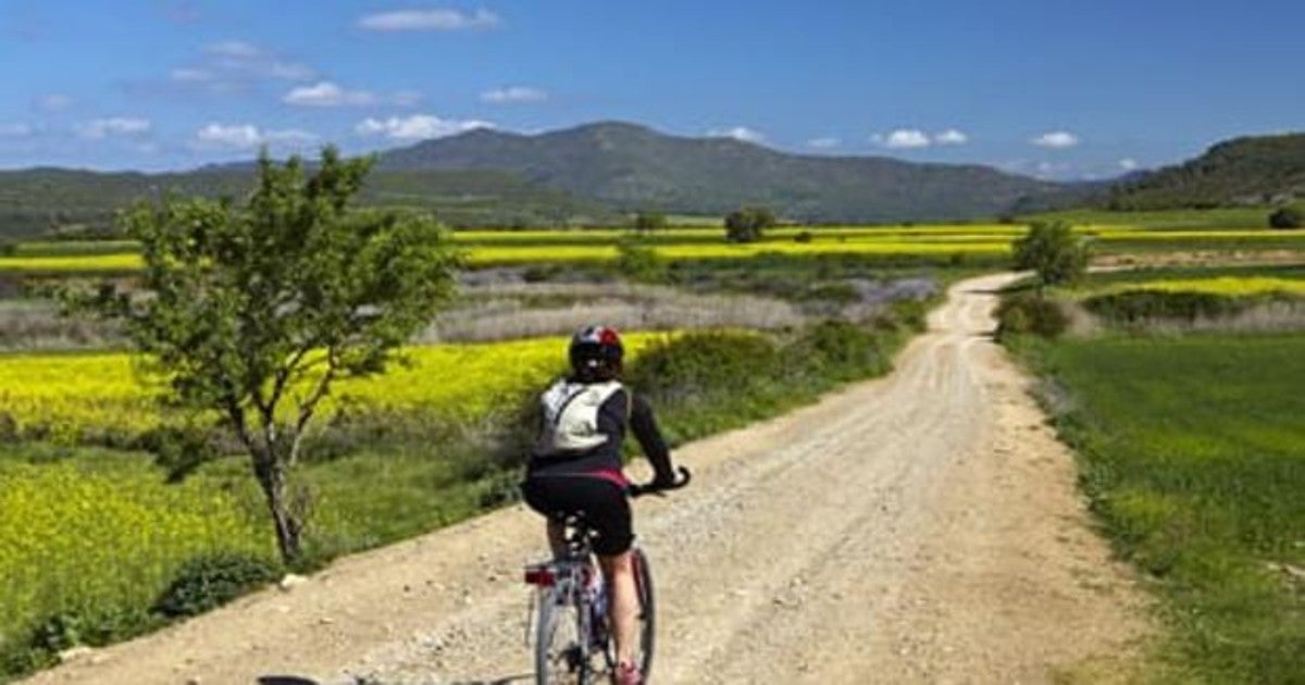 Un ciclista por una de las rutas habilitadas en Navarra.