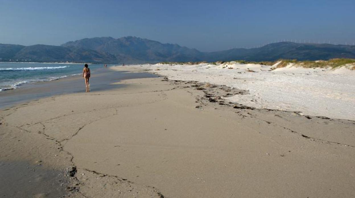 La excusa de unos Erasmus de botellón: «Es una playa virgen y no hay riesgo de coronavirus»