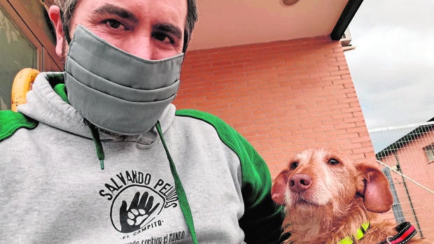 Una nueva oportunidad para los perros huérfanos del Covid-19