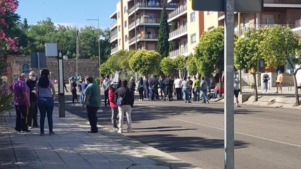 Plante de los vendedores en el mercadillo del martes de Toledo