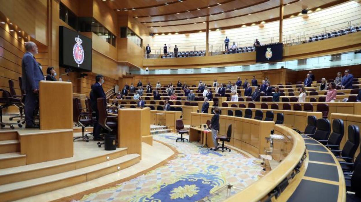 Minuto de silencio en el Senado en honor de las víctimas del Covid-19