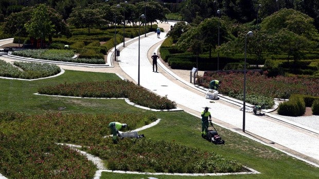 Madrid refuerza la limpieza con 800 operarios y elabora un plan especial para las zonas verdes