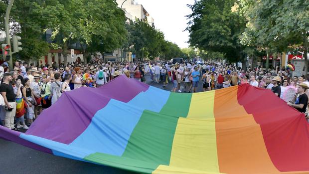 El colectivo LGTBI defiende el uso oficial de su bandera: «Representa valores consagrados en la Constitución»