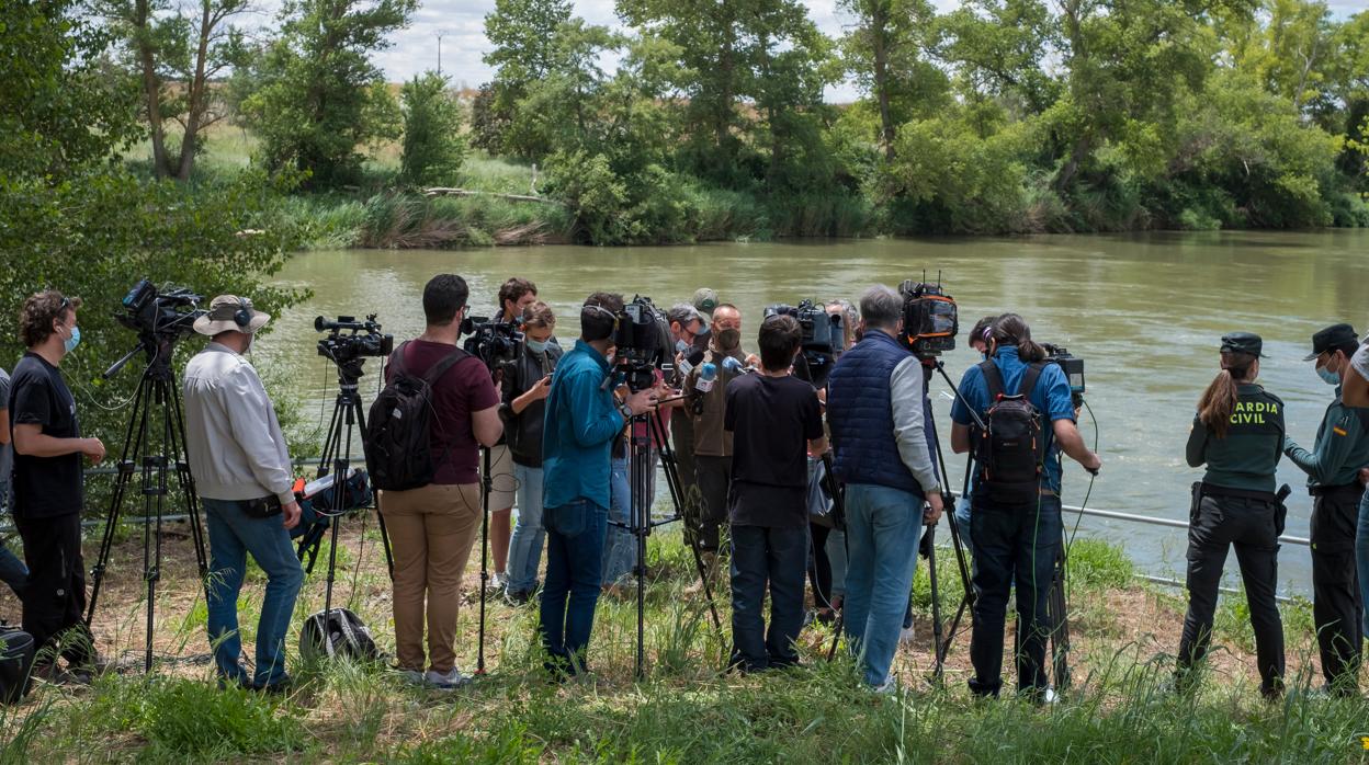 La búsqueda del supuesto reptil está teniendo un amplio seguimiento mediático