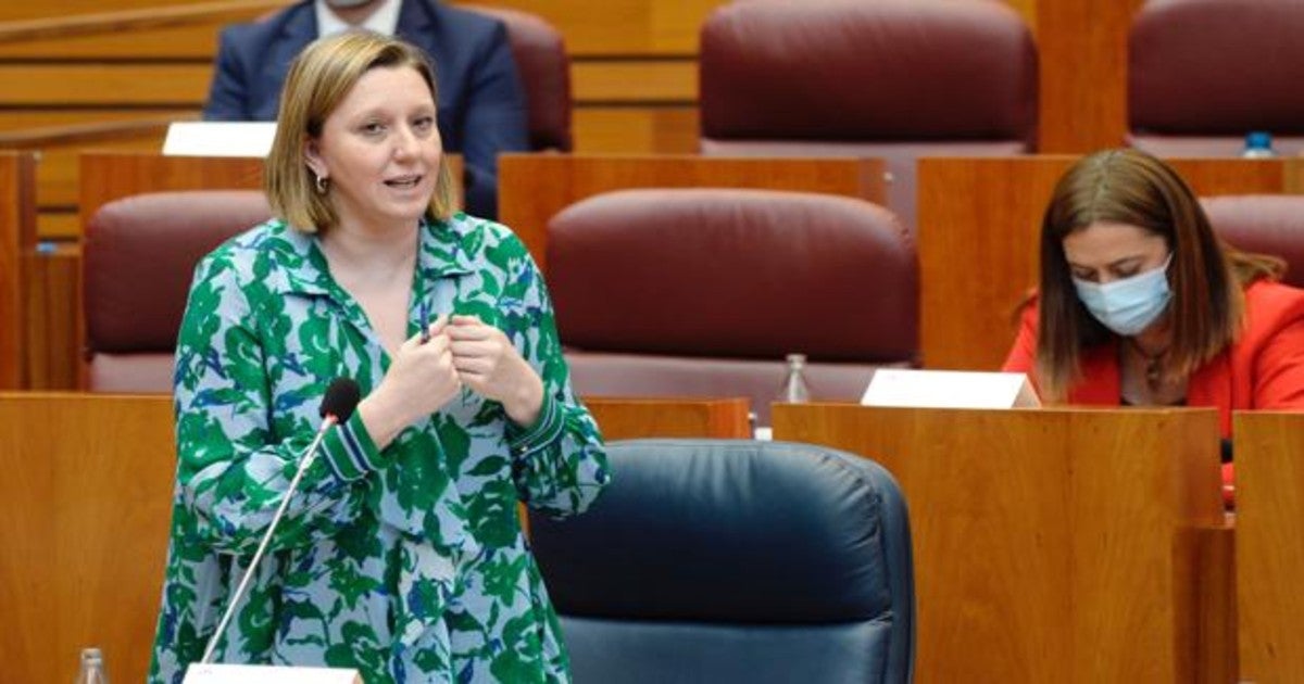 La consejera de Familia, Isabel Blanco, durante su intervención en las Cortes