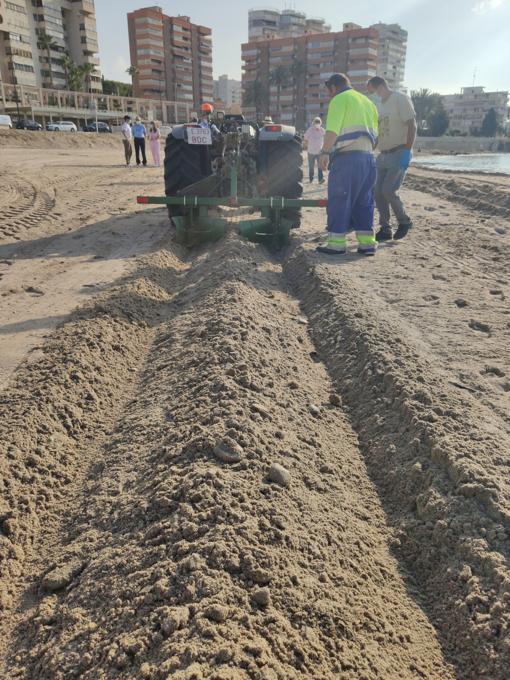 Operarios del servicio municipal trabajan en la delimitación de las áreas en la arena