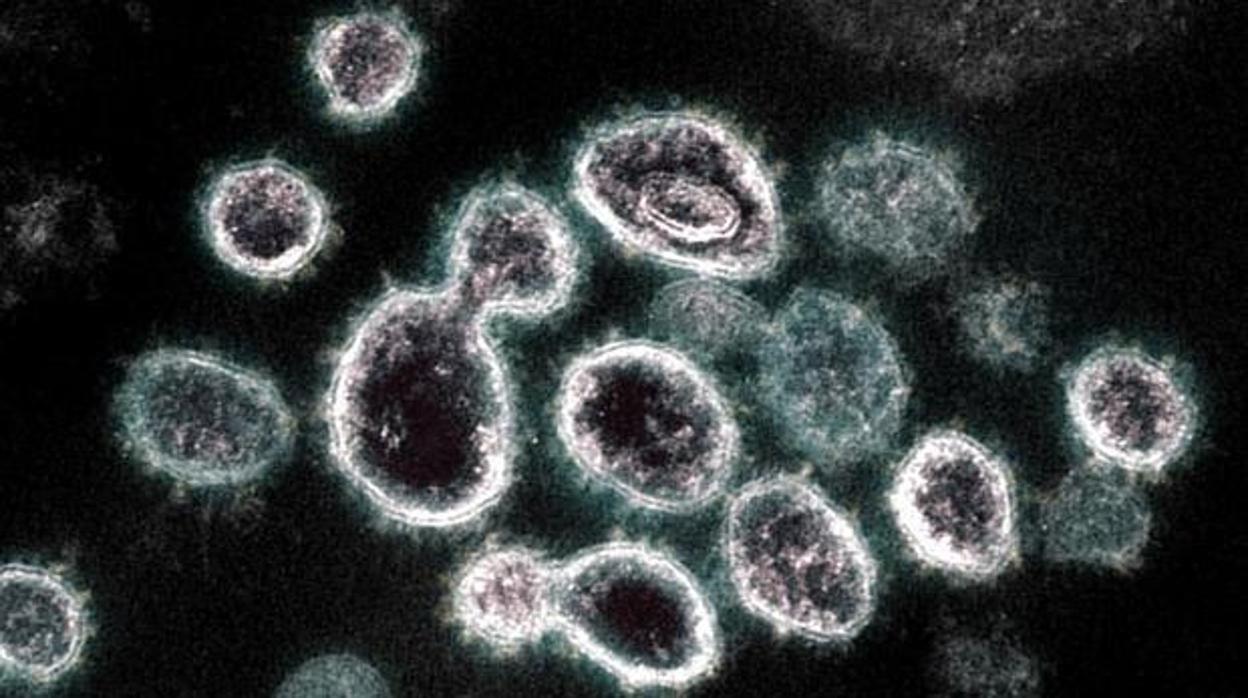 Cinco muertos y 17 nuevos casos de coronavirus en la región