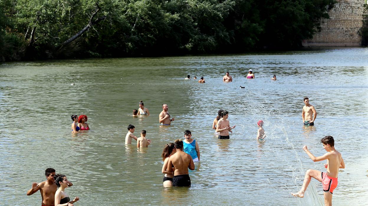 Varias personas bañándose en el río Pisuerga en Valladolid a la altura de la playa de las Moreras