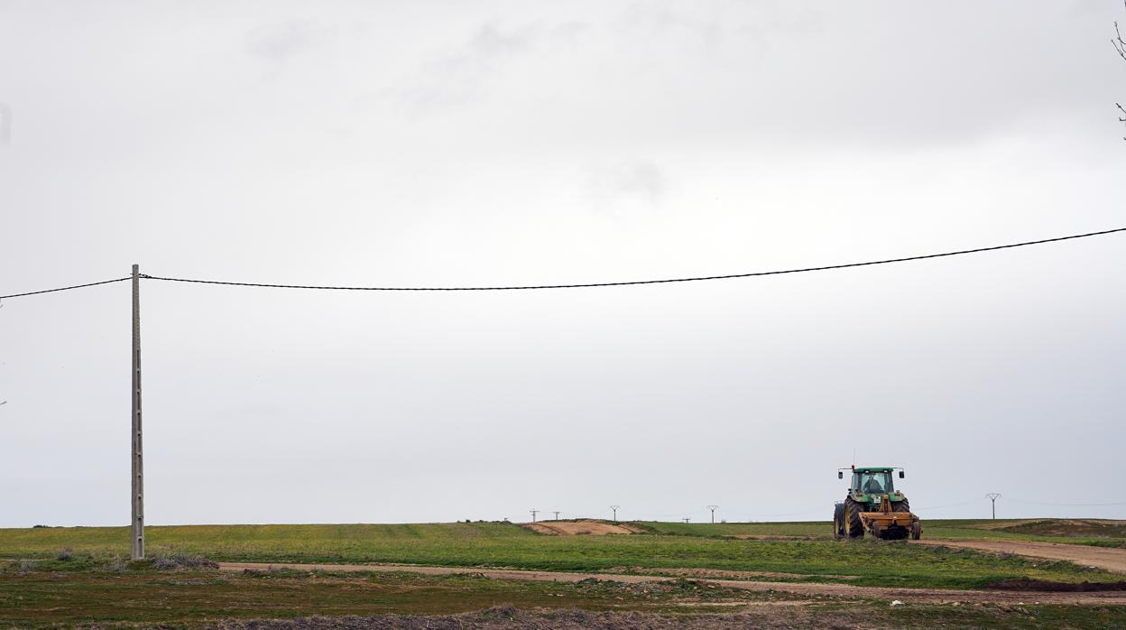 El Ecyl recibe sólo cuatro ofertas para cubrir seis puestos de trabajo para el campo en Soria