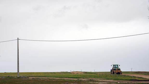 El Ecyl recibe sólo cuatro ofertas para cubrir seis puestos de trabajo para el campo en Soria