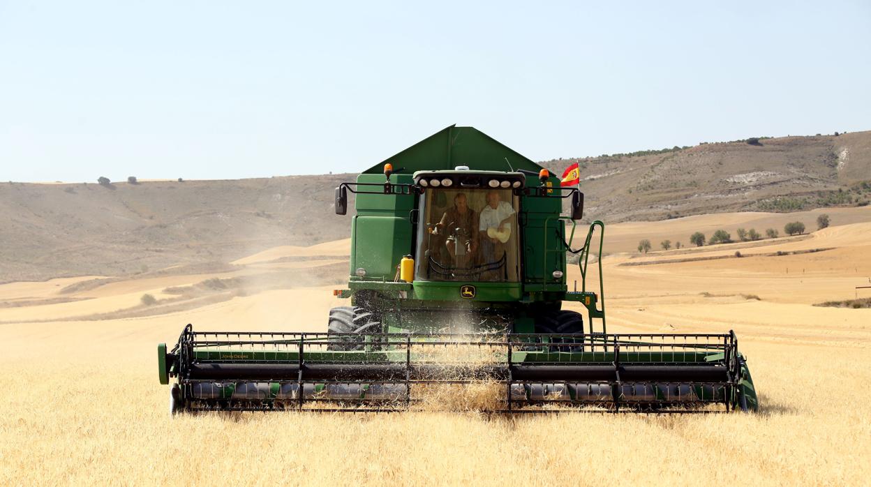 David Frontela: Huir de la plantación