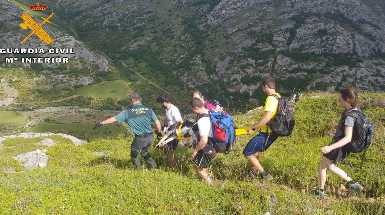 Imagen del rescate del perro en el pico Espigüere de Palencia