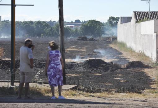 Un incendio se reactiva tras ser apagado y arrasa el Bosque de los Sueños de Valladolid