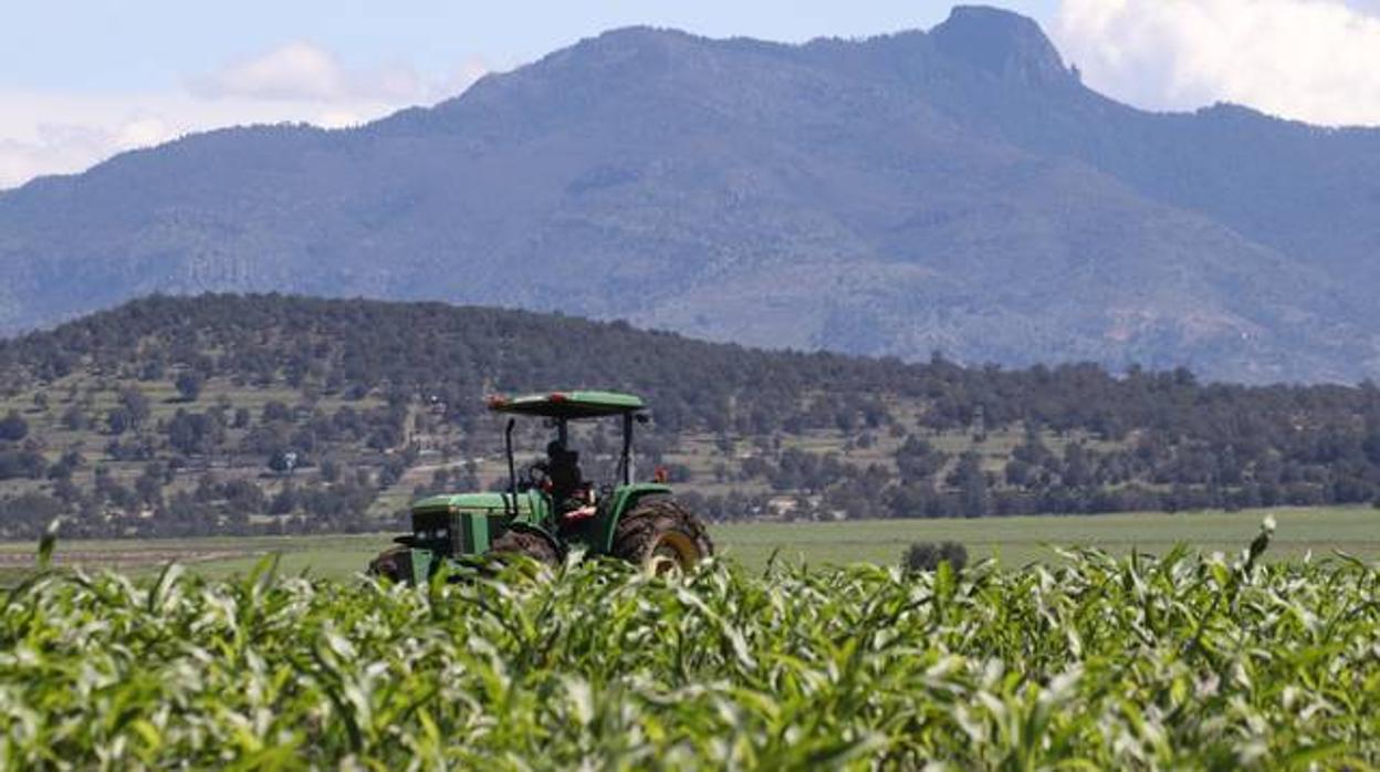 La organización denuncia discriminación en las ayudas para planes de mejora en las explotaciones