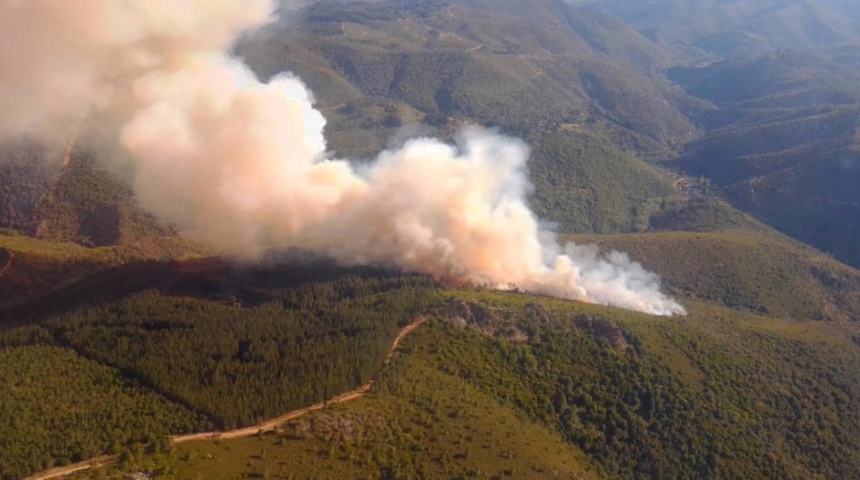 Un nuevo incendio en la comarca del Bierzo afecta a la localidad de San Vicente, en el municipio de Arganza