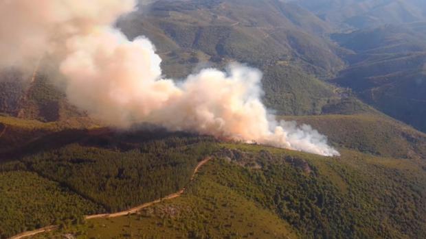 Un nuevo incendio en la comarca del Bierzo afecta a la localidad de San Vicente, en el municipio de Arganza