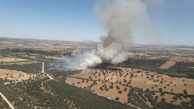 Se declara un incendio forestal en Malpica de Tajo