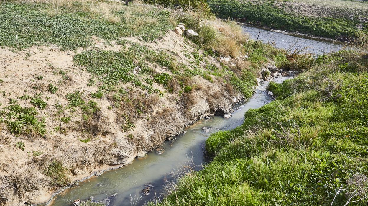 Aguas fecales sin tratar en el río Manzanares; a la derecha, Sara Hernández