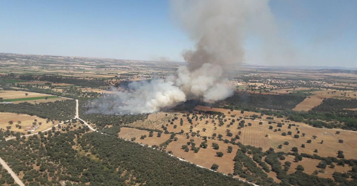 Imagen de Infocam del lugar del incendio