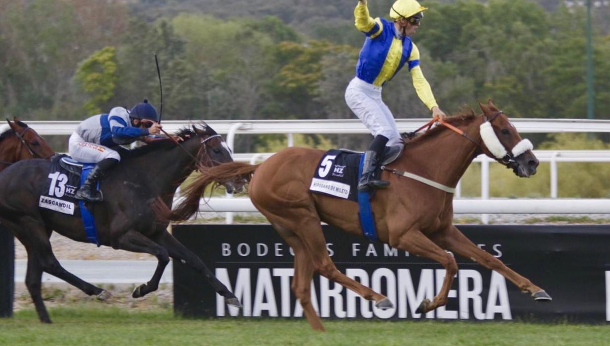 «Hipodamo de Mileto», el ganador del Gran Premio de Madrid el año pasado