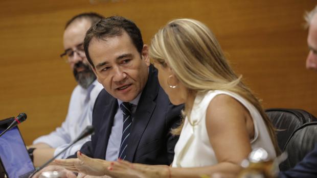 El banco público valenciano: «Es improbable que todas las entidades privadas se aliaran para favorecer a Puig»