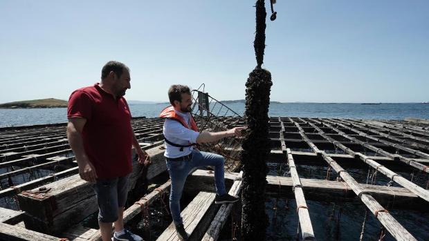 El PP abre su renovación territorial para reforzar la alternativa a Sánchez