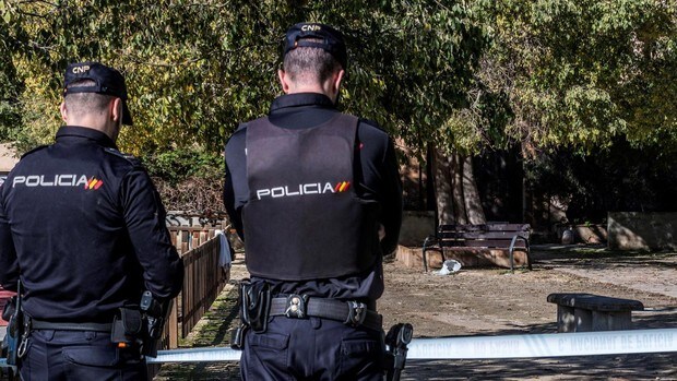 La Policía detiene en Mallorca a una mujer como presunta autora de la muerte de su pareja