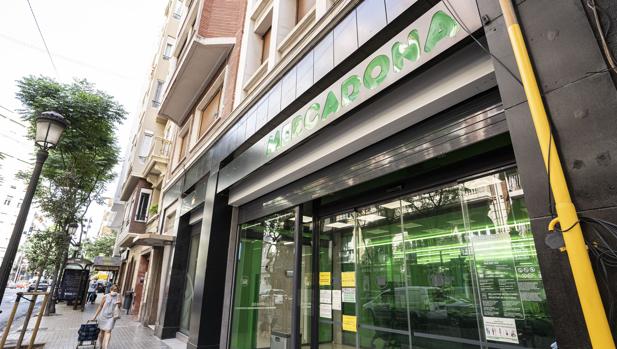 A qué sabe la nueva bebida del verano de la que Mercadona vende 30.000 botellines al día