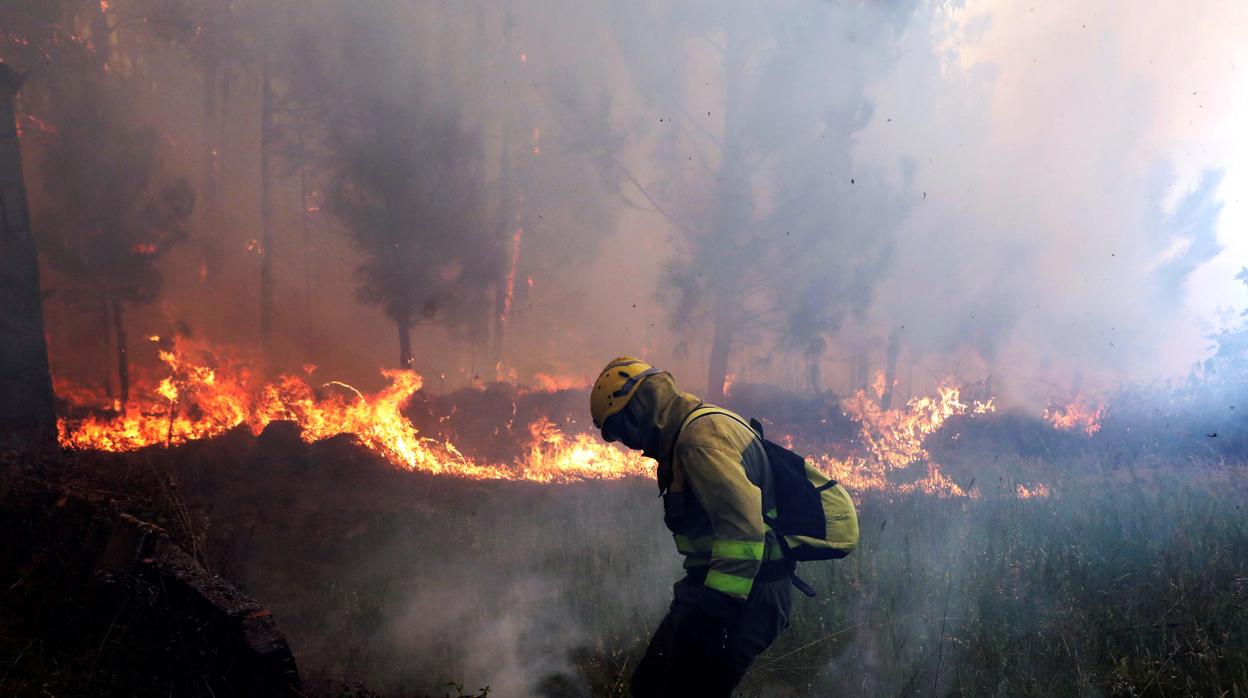 Labores de extinción en un fuego en la provincia de La Coruña