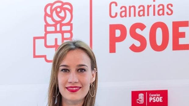 El PSOE apela a la «unidad de acción» para hacer posible la reactivación socioeconómica de Canarias