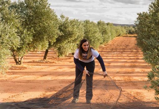 «Valdenvero»: El aceite de oro de Valdepeñas que hace la mejor almazara de España