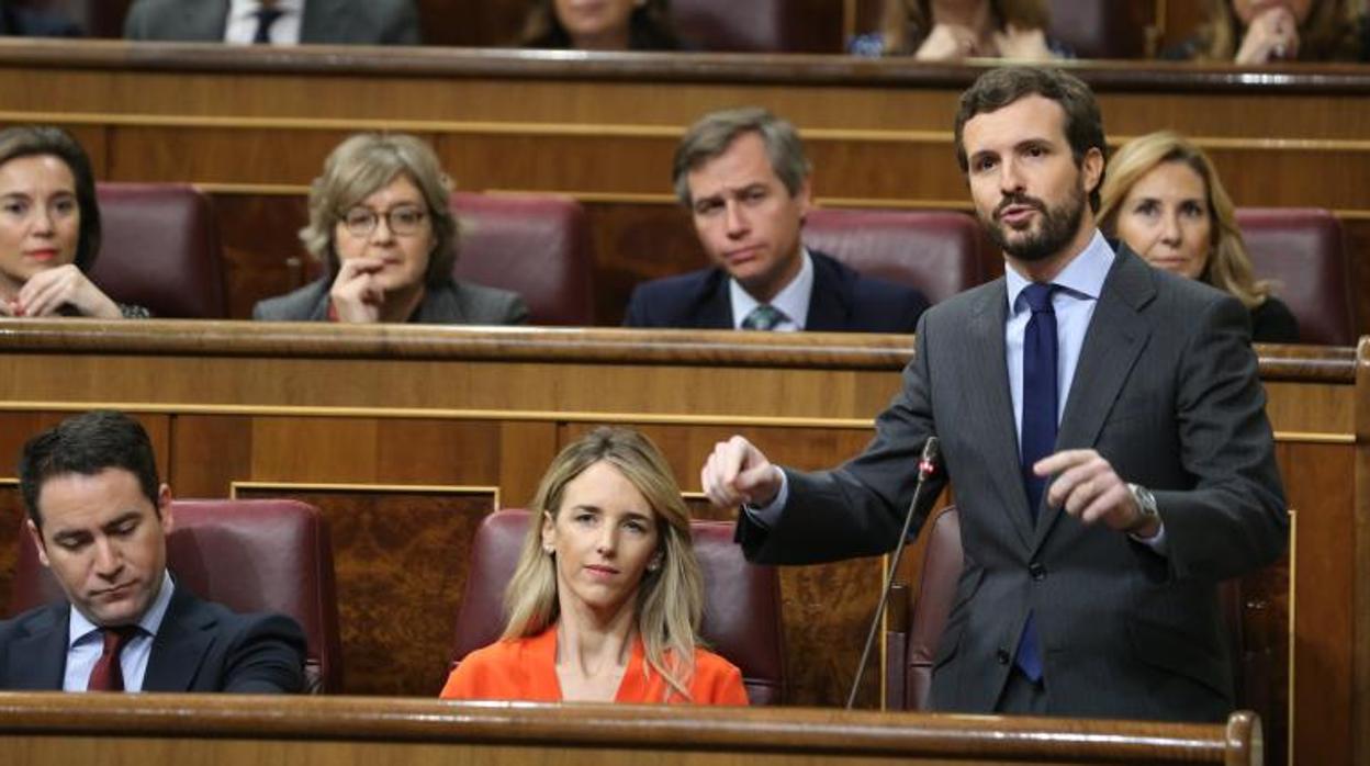 El presidente del PP, Pablo Casado, durante una intervención en el Congreso de los Diputados