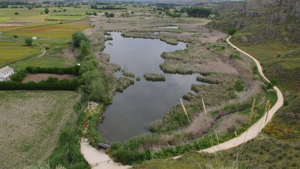 Plan de la Comunidad de Madrid para salvar la Laguna de San Juan, refugio de animales desde 1991