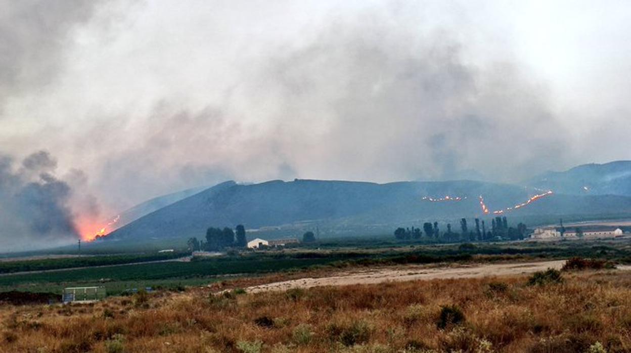 Incendio declarado en la pedanía de Agramón (Albacete)