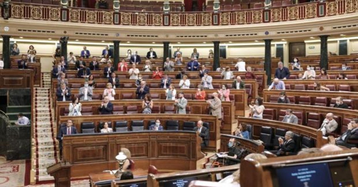 Una quinta parte de los diputados compaginará su escaño con actividades privadas