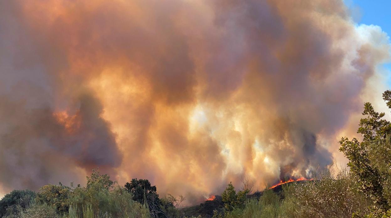 Imagen del nuevo incendio, localizado en la zona orensana de Monterrei