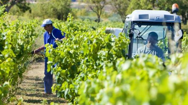 Fallece un trabajador en una empresa agraria de la localidad de Hellín