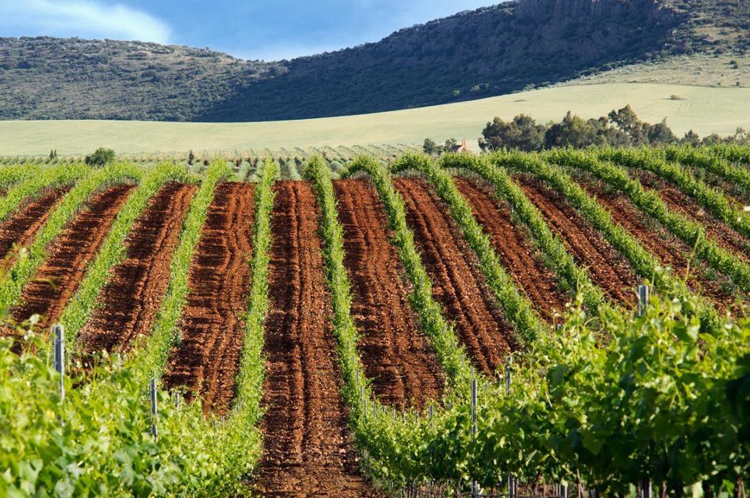 La bodega Encomienda de Cervera se ubica en plena zona volcánica de Calatrava