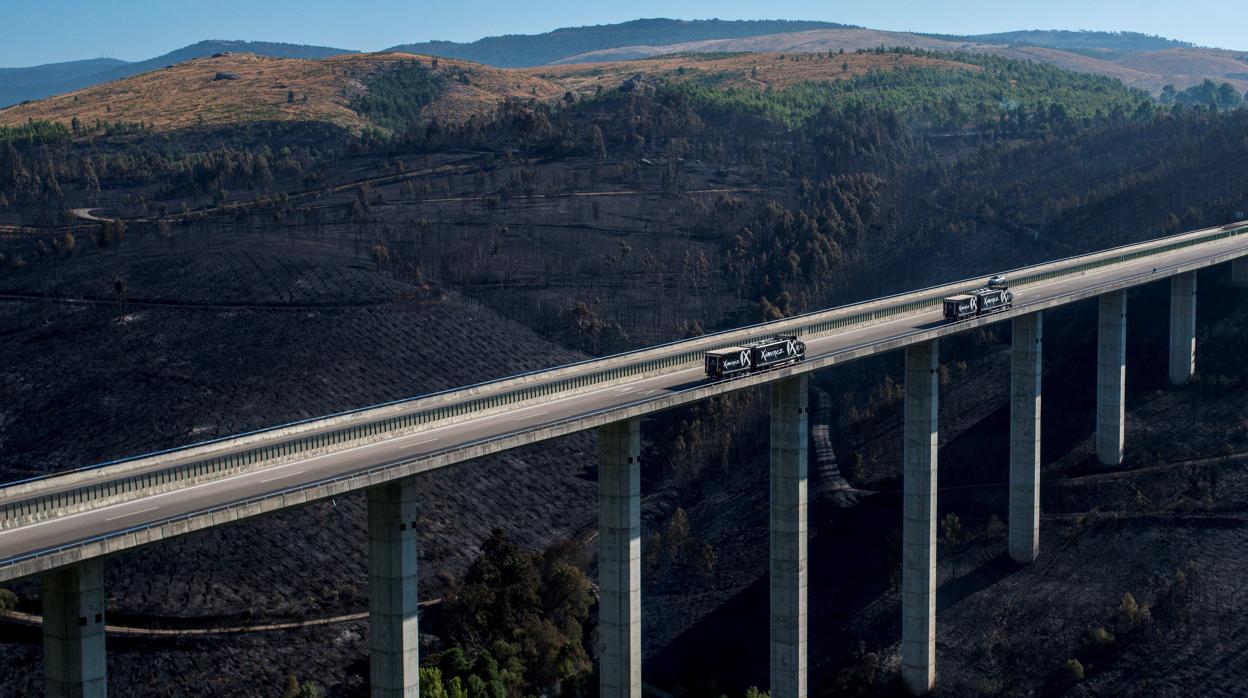 Paisaje calcinado tras el fuego que asoló Verín este fin de semana