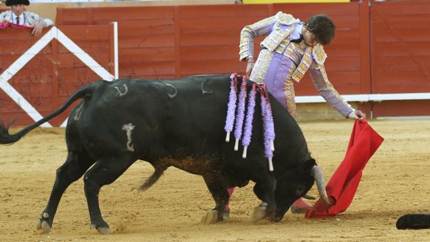 Las restricciones sanitarias obligan a cancelar la feria taurina de San Antolín en Palencia