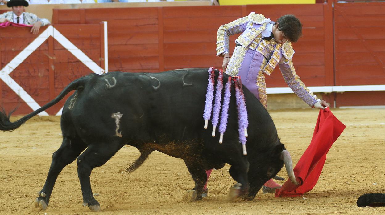 Roca Rey con su primer toro en la primera corrida de Toros de la Feria palentina de San Antolín de 2018