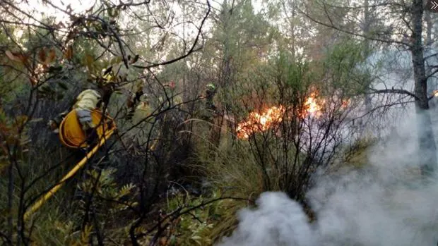 Unos 130 efectivos de la UME se desplazan a Férez (Albacete) por un incendio