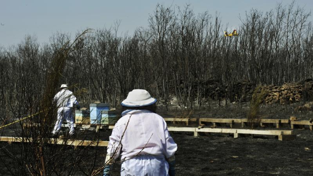 Controlado el incendio de Cualedro (Orense) tras más de 1.500 hectáreas quemadas