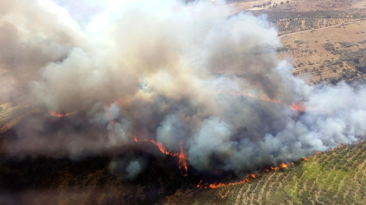 Cerca de ochenta efectivos tratan de controlar un incendio de nivel 1 en Serradilla del Llano (Salamanca)