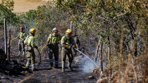 Medios aéreos y humanos trabajan en la extinción de un fuego en San Cristóbal de Segovia